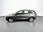 2022 Ford Escape Hybrid SE