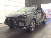2020 Lexus NX 300h