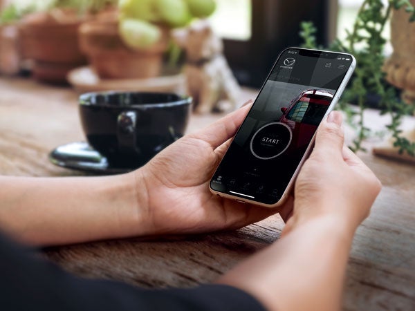 Auffenberg Mazda of O'Fallon in Shiloh IL